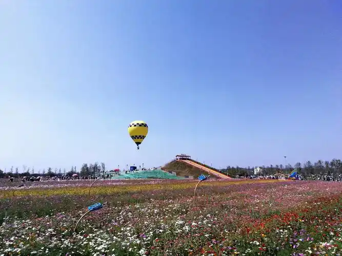 年轻的常德枫林花海让多少大投入景区汗颜