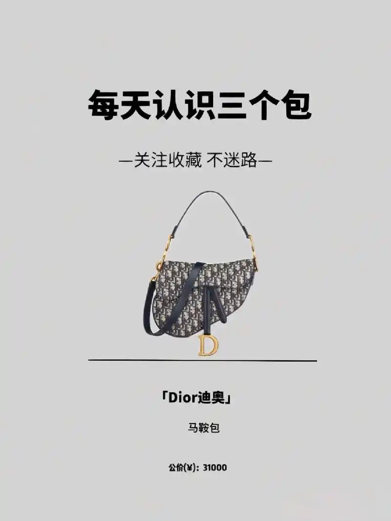 每天认识三个包dior马鞍包托特链条