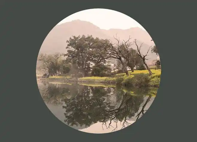 圆构图～国强摄影作品《我不是潘金莲》观后 学习冯氏构图