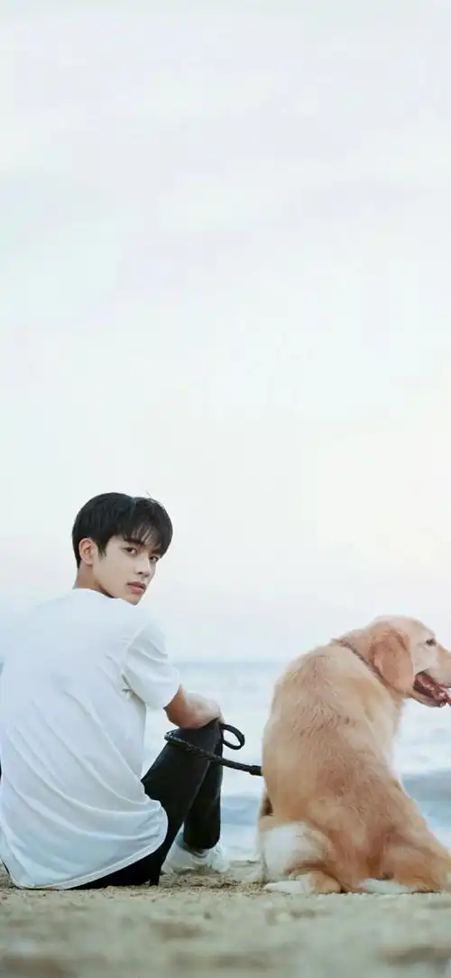 壁纸丨和年下小奶狗谈恋爱请问这是什么神仙体验