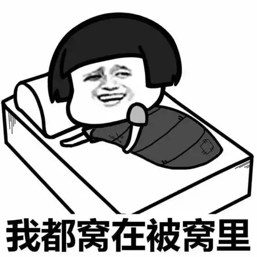 无所事事的楠哥每天在家躺尸, 发现除了大年三十朋友圈一片喜庆之外