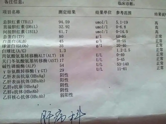 乙肝两对半 检查报告 怎么看?