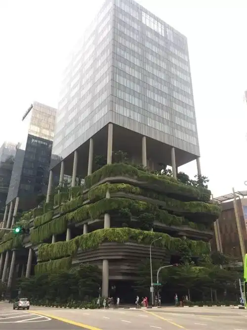 绿色建筑也不一定都是"绿色的"(外面挂满绿植)绿毛墙~↓随着海绵城市