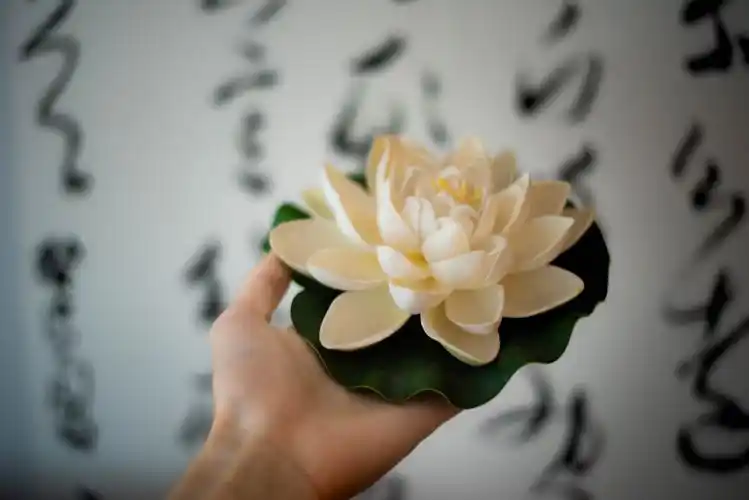 少年手捧白莲花