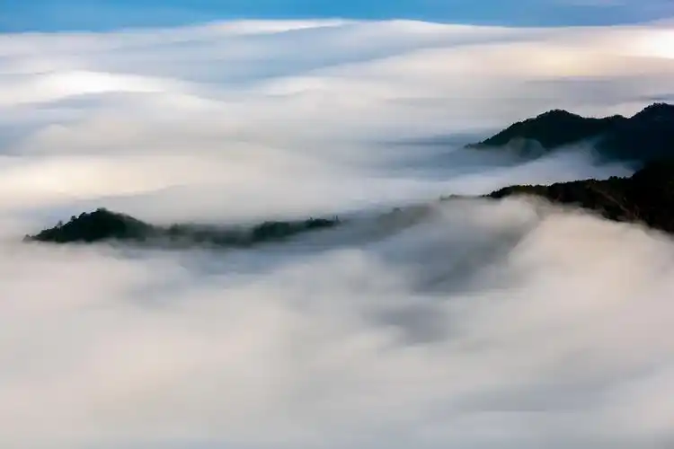 云雾漫山中(阳明山云海)