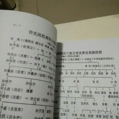 许氏家谱(许村)[内附许多医方]