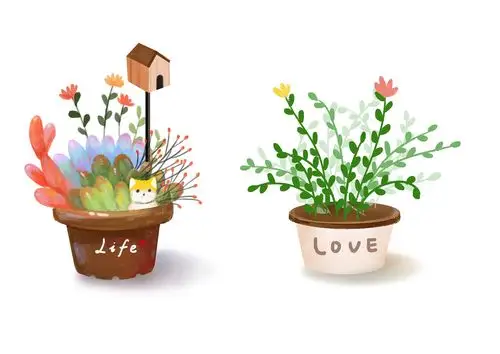 盆栽植物练习|插画|插画习作|546383733 - 原创作品 - 站酷 (zcool)