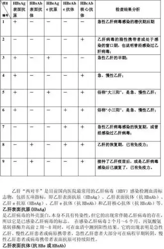 乙肝五项对照表
