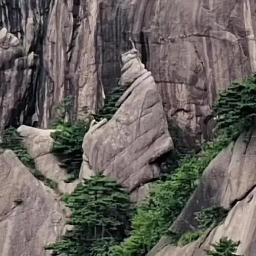 黄山上的猪八戒,绝对是天然的