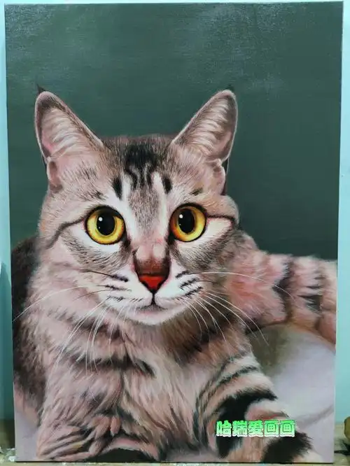 丙烯画猫咪