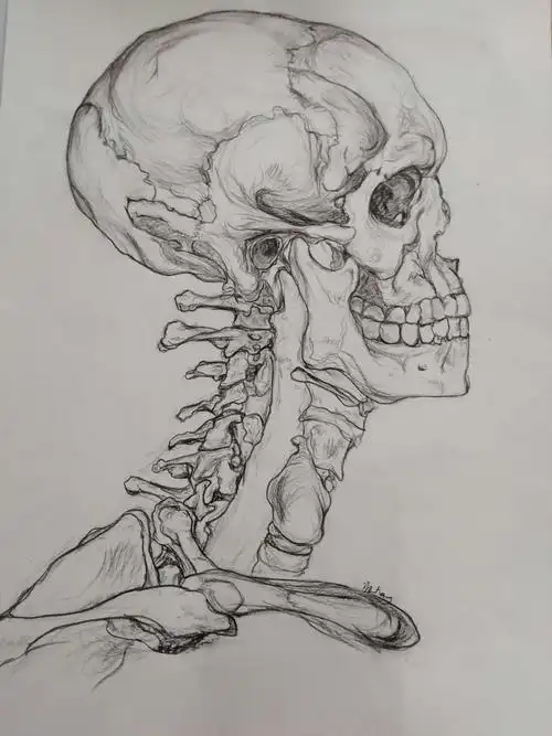 针灸骨伤系人体解剖知识绘图大赛优秀作品