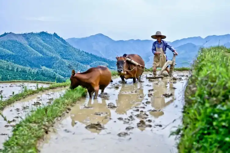 白云深处好耕田