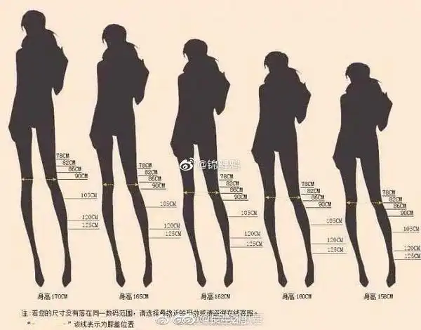 求身高比例图!