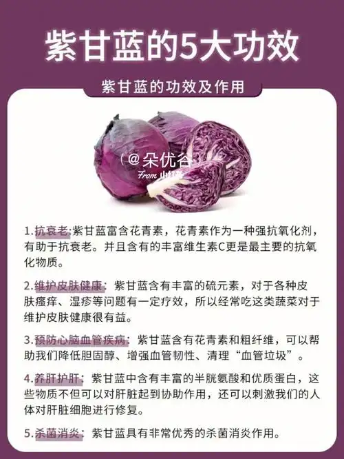 紫甘蓝有减肥护肝的功效75简直太厉害了6015