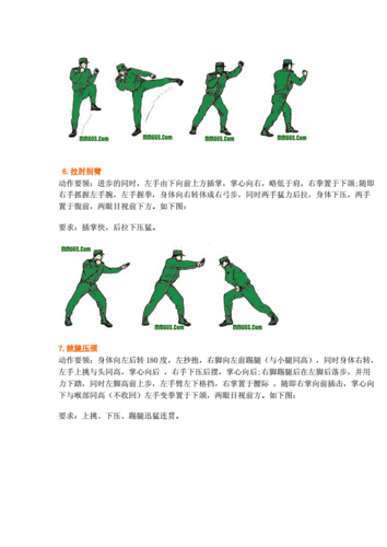 军体拳16式动作图解精要.doc
