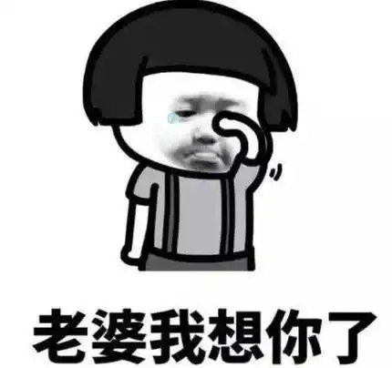 发给老婆的表情包合集|老婆你说什么都是对的