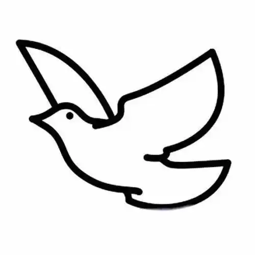 鸽子画 鸽子画法