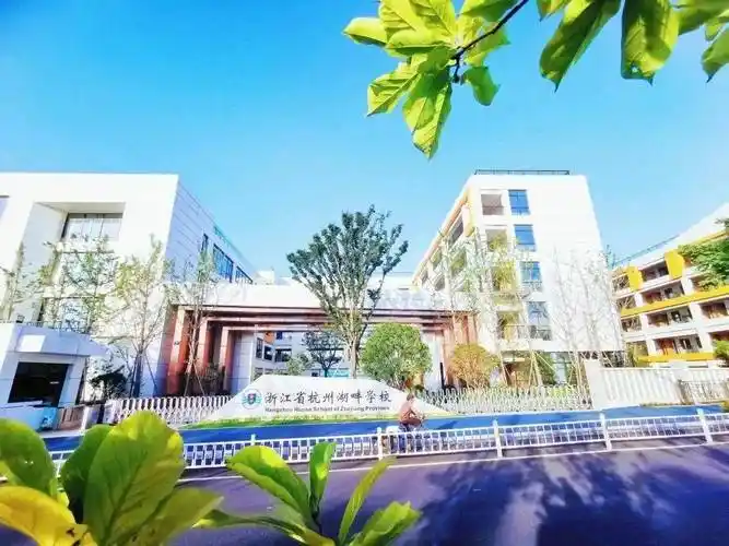 湖畔学校,杭州创意城小学,杭州市硅谷小学以及在建的白马湖单元中学