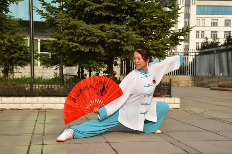 魅力太极拳,摄影制作郭志勋.