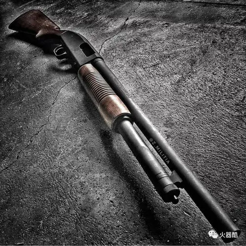 性价比喷子莫斯伯格霰弹枪图集