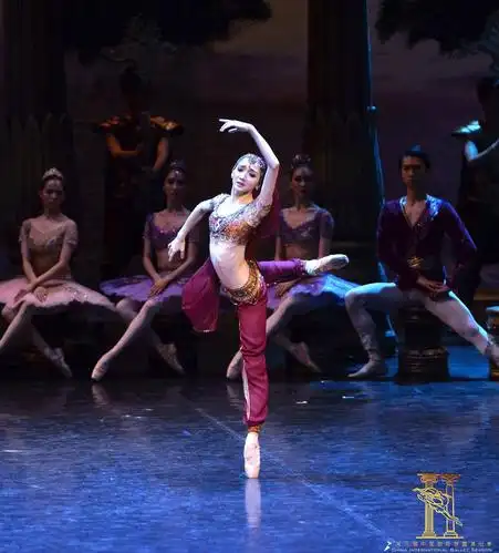 中国国际芭蕾演出季| 中央芭蕾舞团《舞姬》精彩剧照赏析