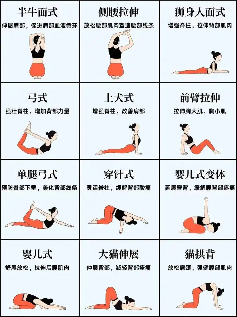 妈耶601512个开肩体式每日拉伸必练6015.