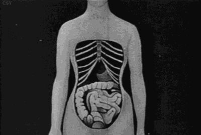 女性塑身束腰内衣有用吗