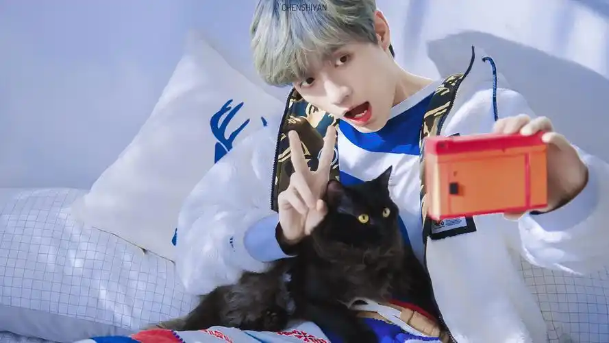 张颜齐 - 堆糖,美图壁纸兴趣社区