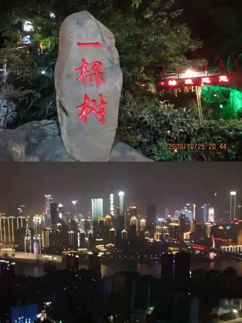 景点三:南山一棵树是观赏重庆夜景的最佳地点