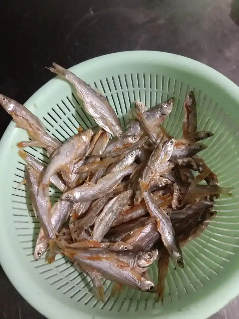 老家野生小鱼,农家酿酒,熟悉的味道,不一样的情怀#以酒会友交 - 抖音