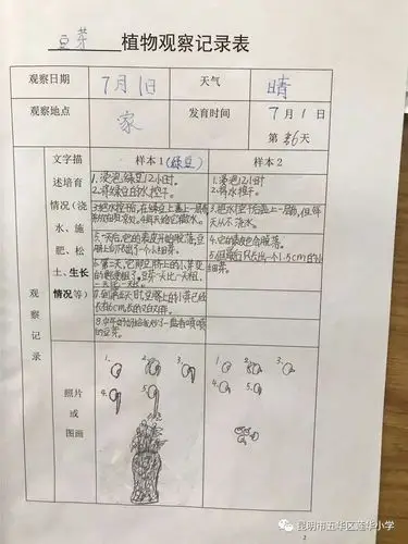 种植"体验活动,活动中学生选种两种植物或者以两种不同的方式培育一种
