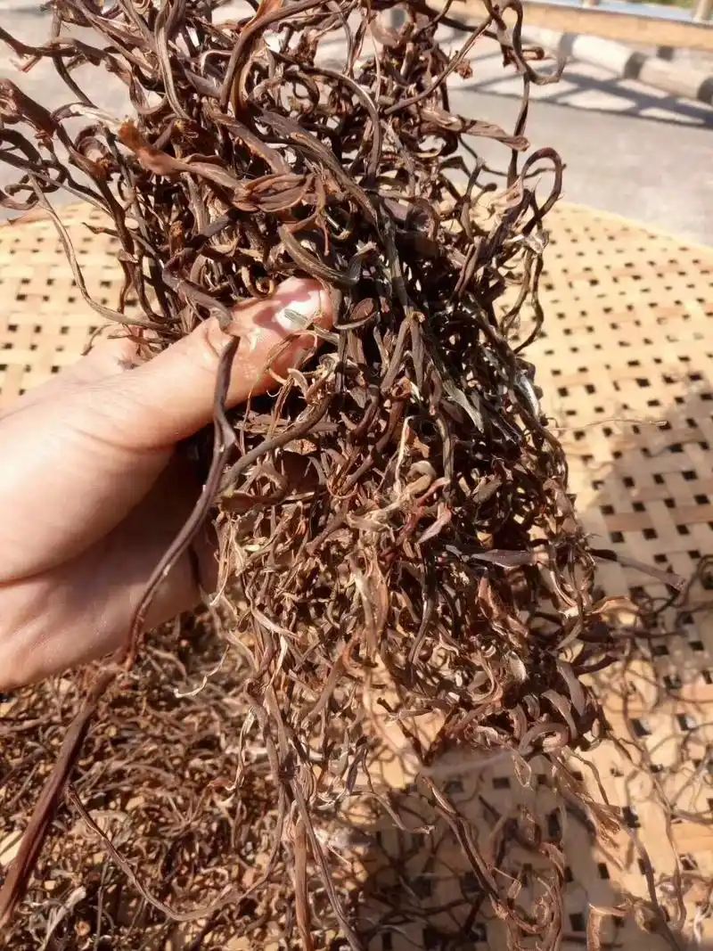 今年刚晒的蕨菜干,炖鸡鸭肉汤来喝非常美味又营养 - 抖音