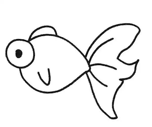 一组漂亮的金鱼简笔画图片