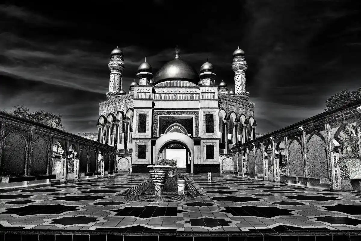 dou 小助手 #黑白摄影 #黑白系 #唯美意境  - 抖音