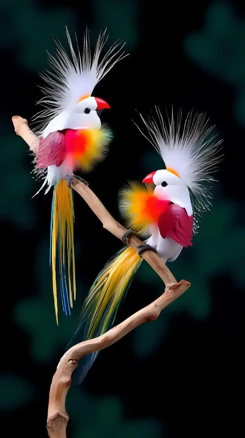 天堂鸟,这种浪漫的举动增添了我们与爱人相处的快乐和幸福感.