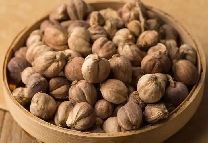 调料中的草蔻,白豆蔻,肉蔻是哪些植物的果实