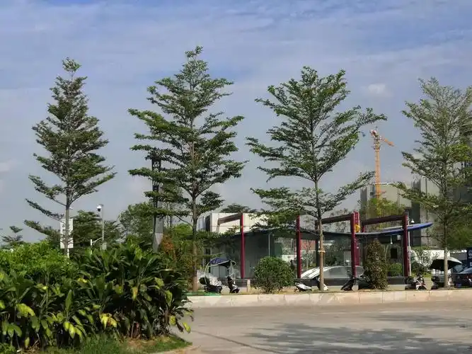 新塘奥园城市天地