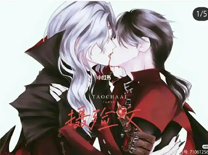 摄殓玫瑰下的誓言二