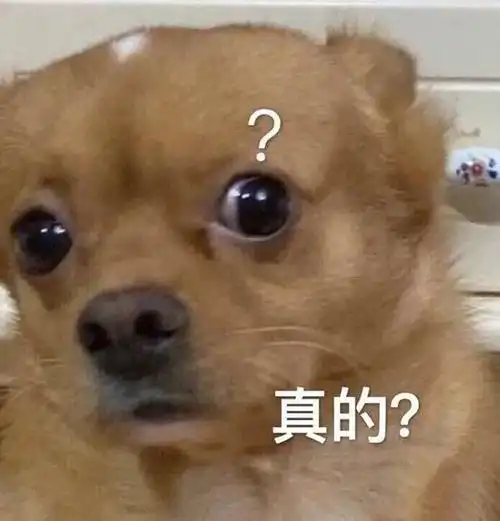真的?汪星人问号表情包