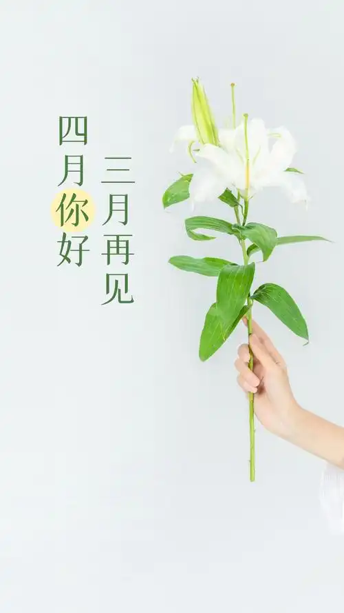 您的三月余额不足,请在愚人节前办理续费手续.再见三月,你好四月!