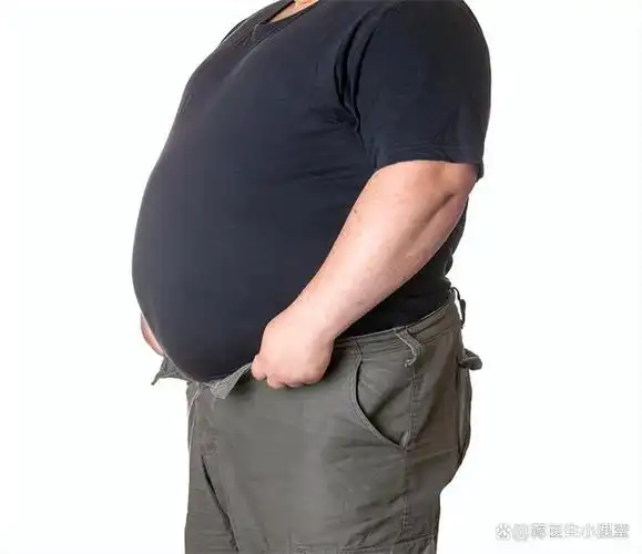 如何预防和控制肥胖?