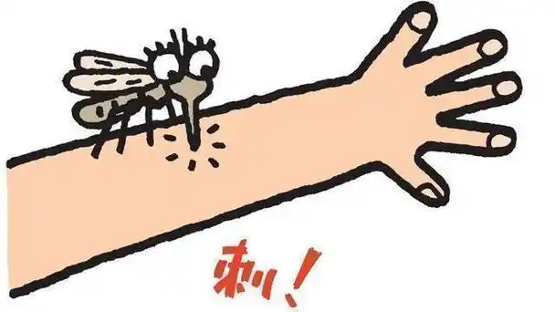 九成人不懂蚊子最大的天敌是啥1个笨法子整夜开窗也不怕