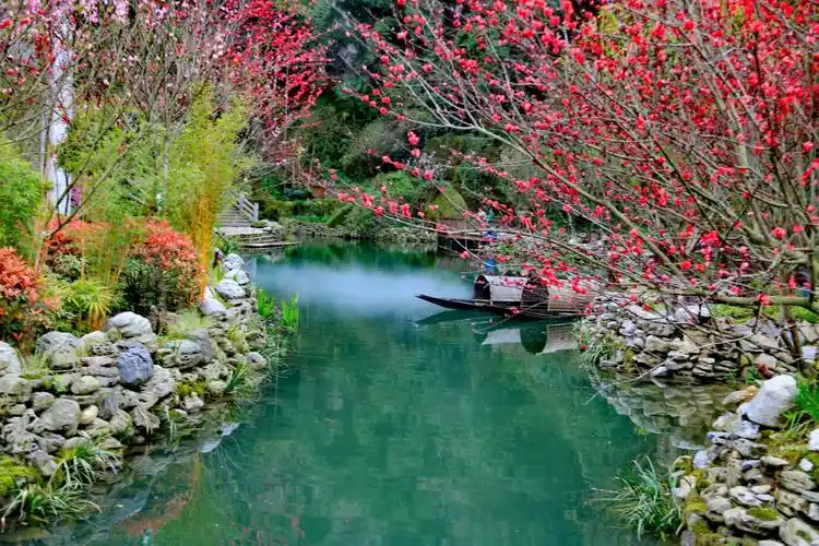 春天的记忆 桃花源