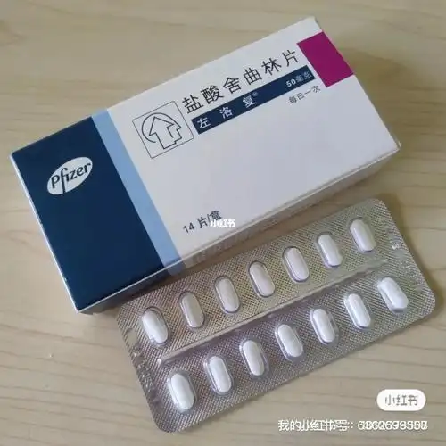 舍曲林77美时玉day4