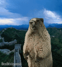 土拔鼠咆哮长城版 - 做表情 - 在线装逼,照片装饰,表情包制作