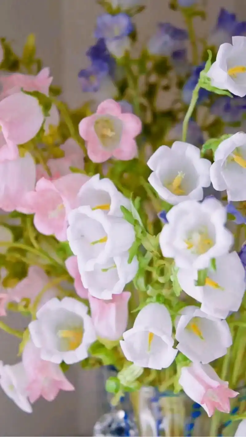 风铃草花语有知恩图报富有创造力温柔的爱