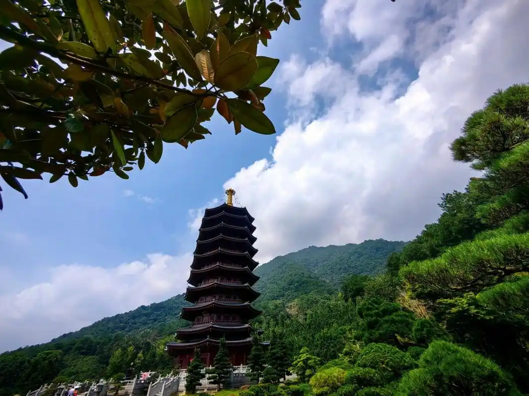 青松白云偶相逢|乳源云门寺  云门山大觉禅寺,虽没有南华禅寺有名, 但