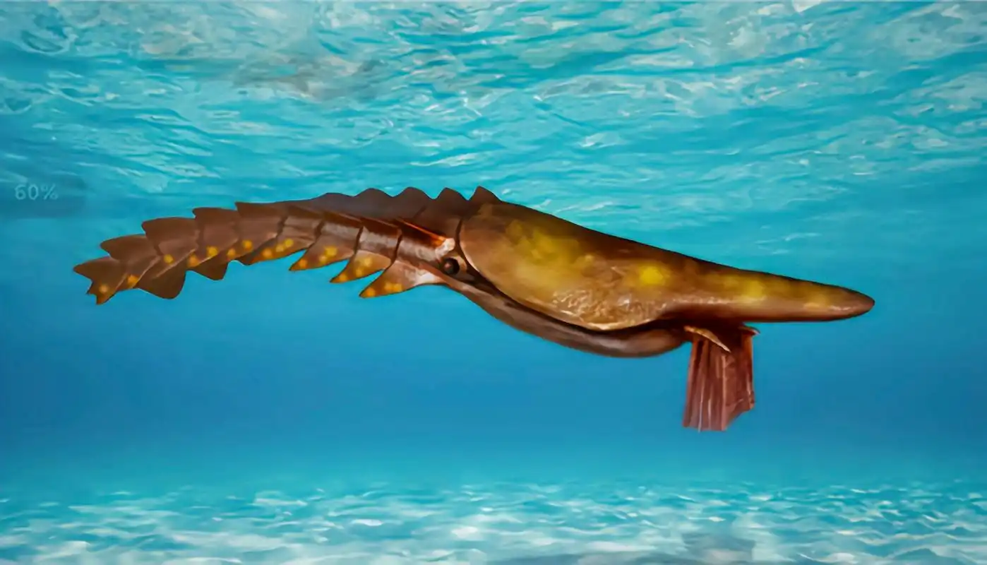 海神盔虾 海神盔虾是迄今为止发现的最早的大型滤食性动物之一,它