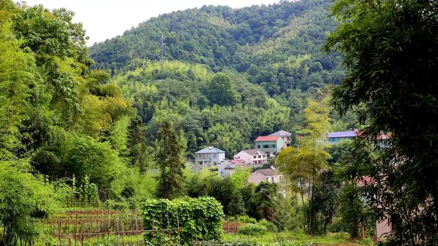 浙江山坳坳里的村庄:四面环山,山清水秀,宁静美丽,人居宝地