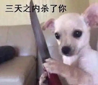 三天之内杀了你(狗子拿刀)